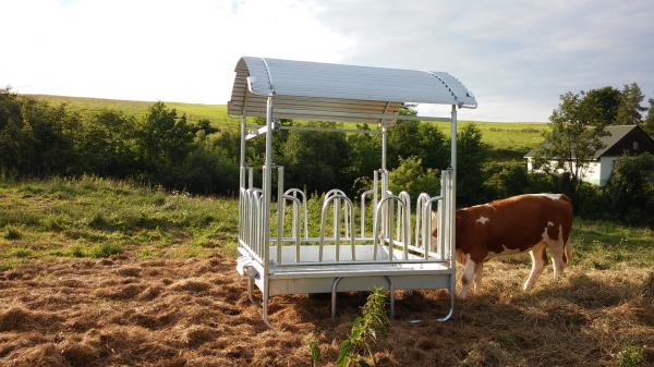 Pasture for cattle and horses, which facilitates access to feed